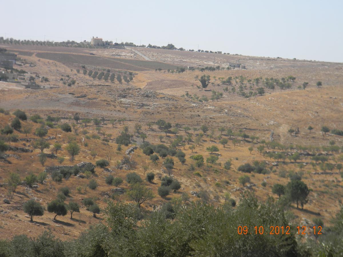 Town Of Mount Nebo Villa Мадаба Екстериор снимка