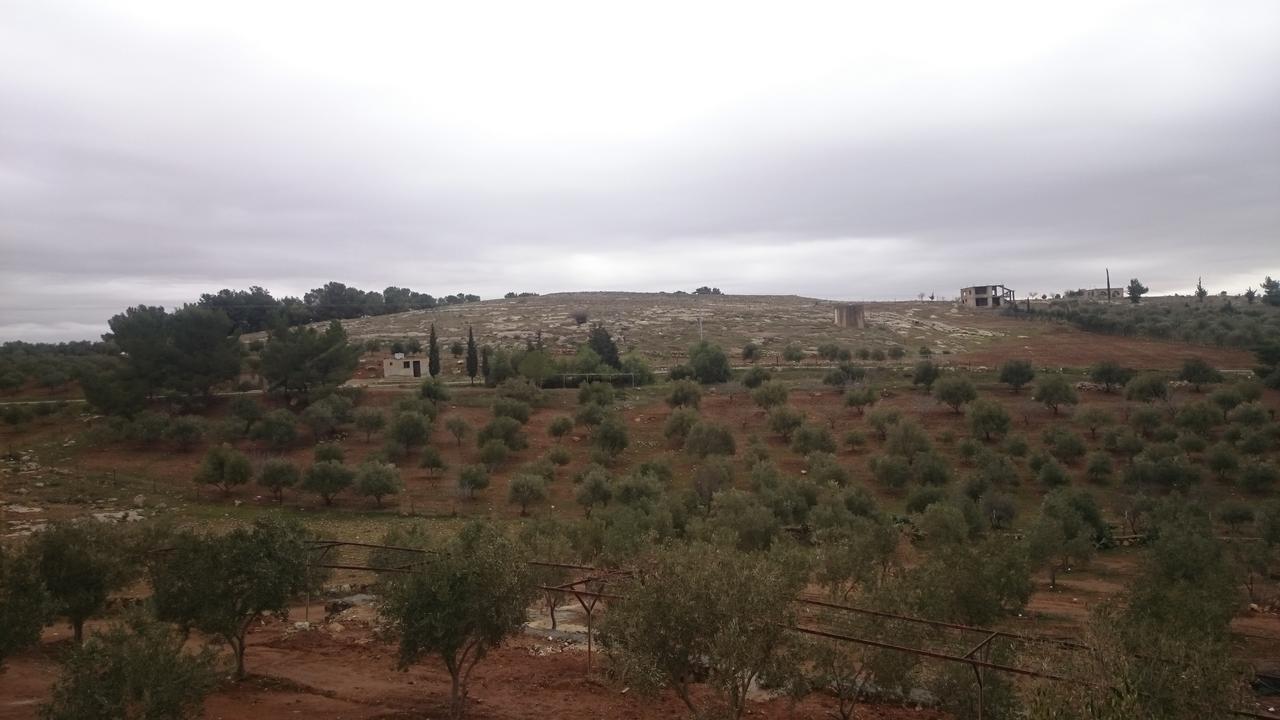 Town Of Mount Nebo Villa Мадаба Екстериор снимка